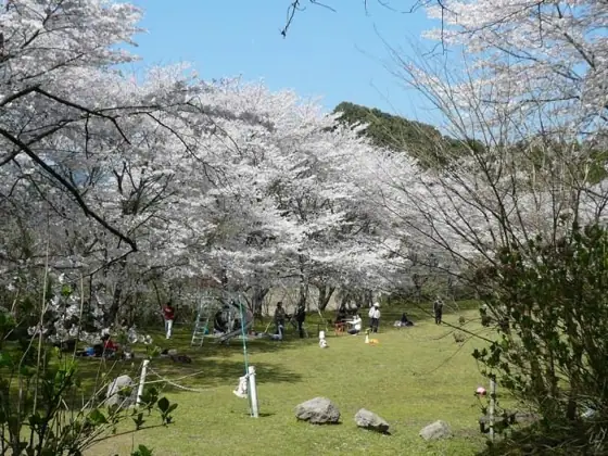 Takagawa Dam Area Park