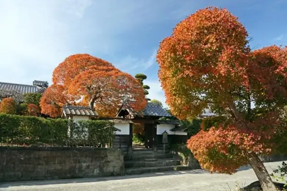 Izumi Fumoto Samurai Residences: Saisho Residence