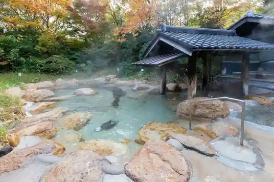 Hikawa Bijin Baths