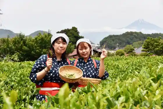 Kuraya Narusawa
