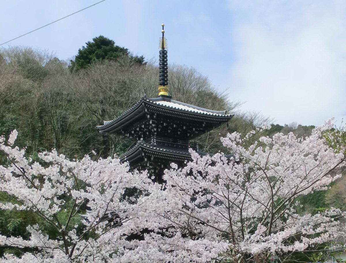 Mujozan Johotsugan-ji