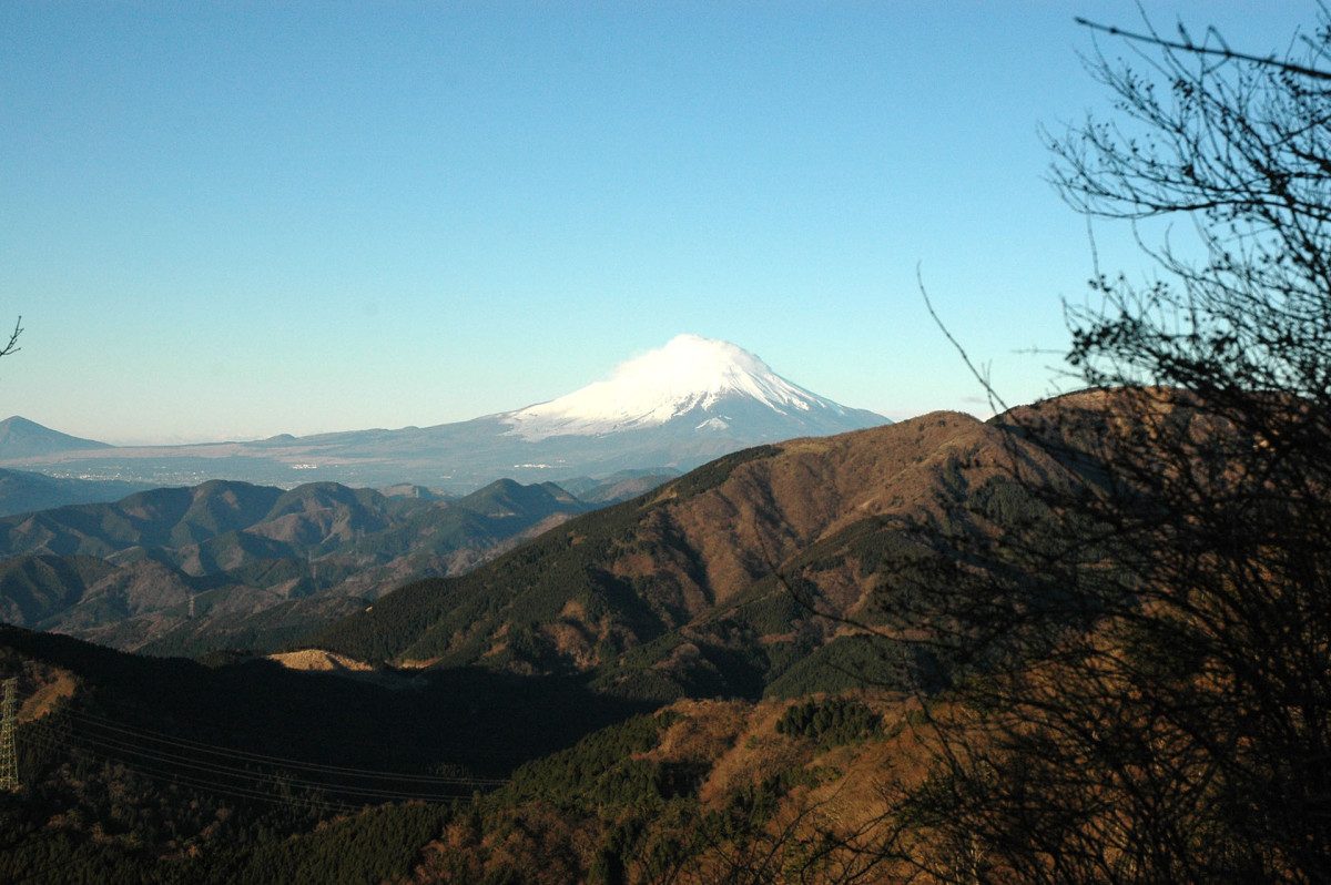Fujimidai Viewpoint
