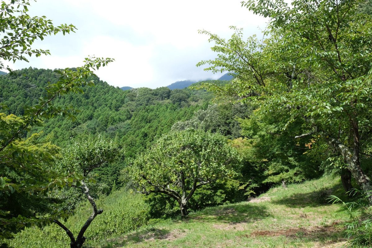 Mount Hinata