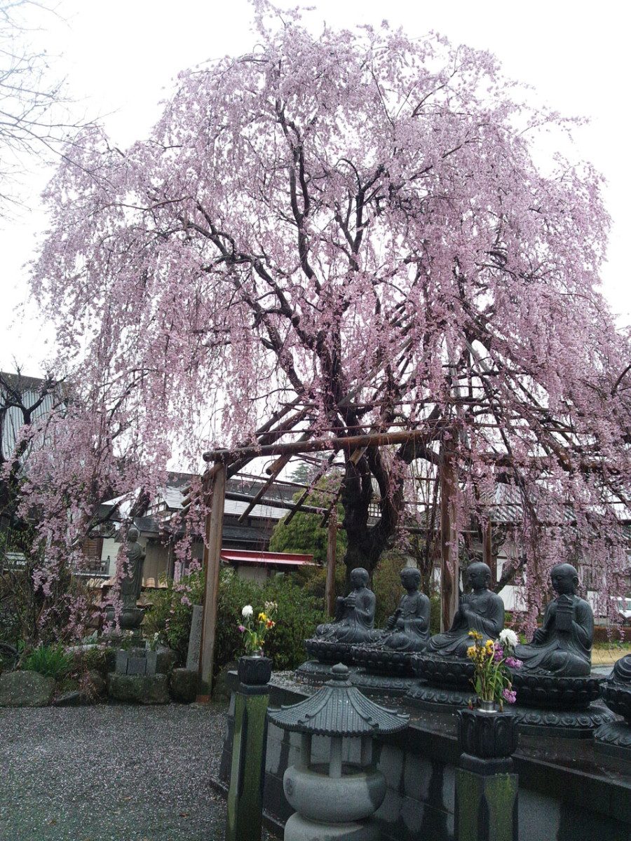 Tosho-in Temple