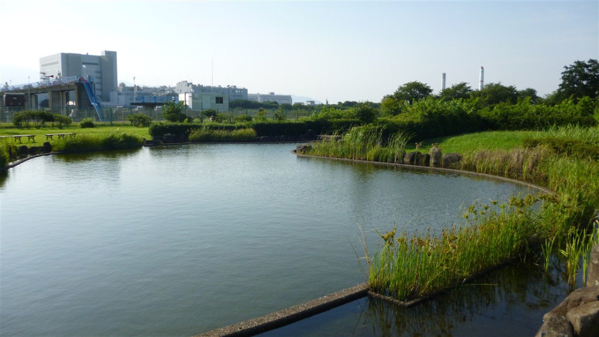 River Interaction Park (Lucky Mount Fuji Spot: Inverted Fuji)