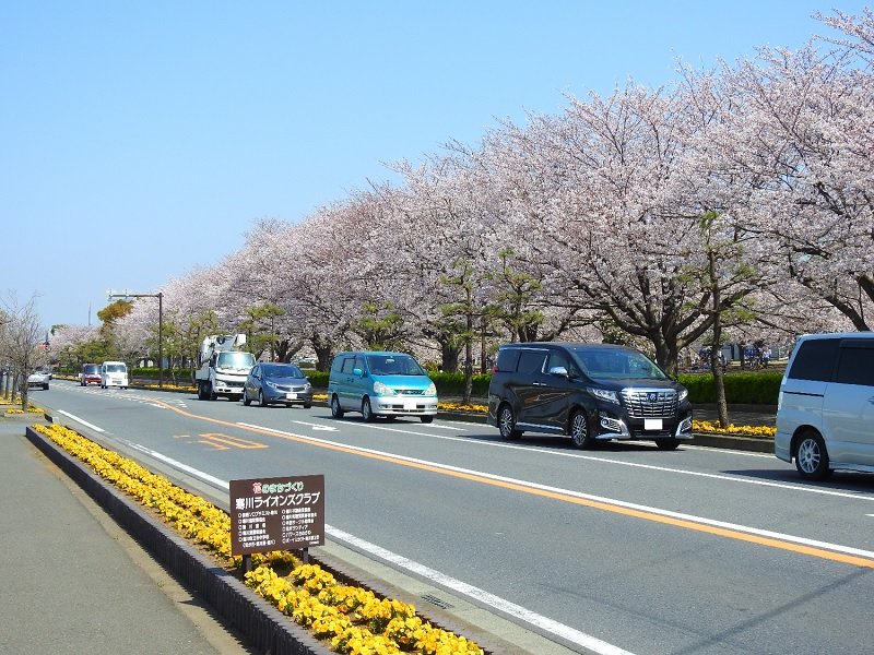 Samukawa Central Park