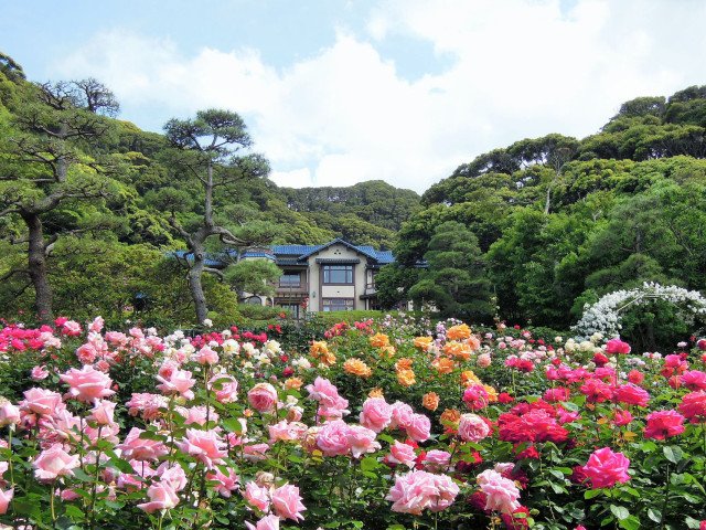 Shonan Ginga Bridge (Mount Fuji View)
