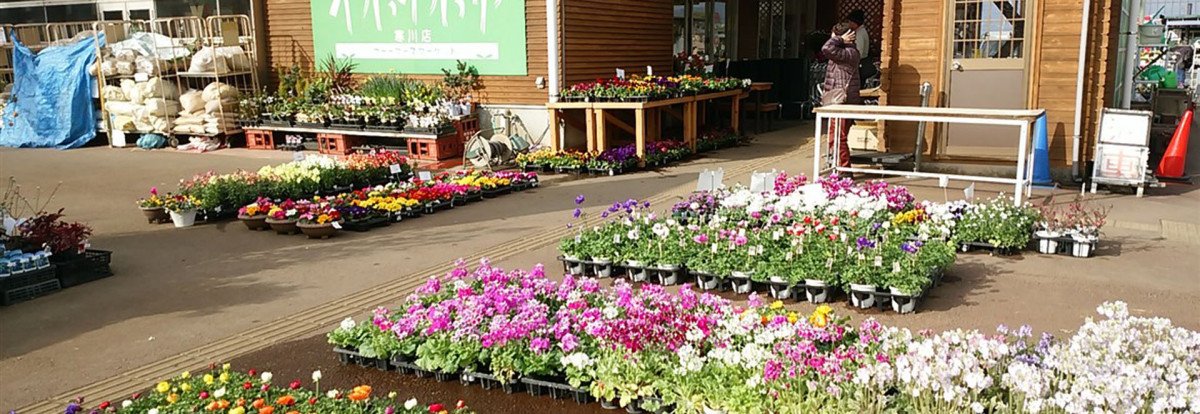 Waiwai Market (Samukawa Store)