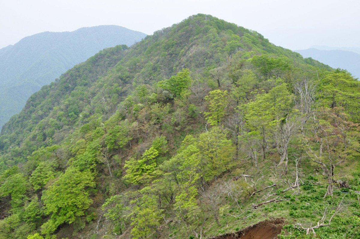 Kumasasa Peak