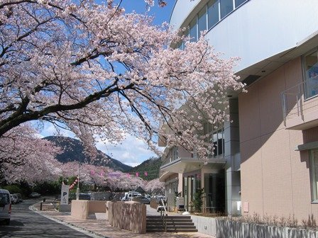 Yamakita Town Health and Welfare Center Sakura no Yu
