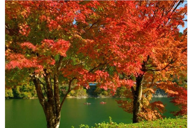 Lake Tanzawa