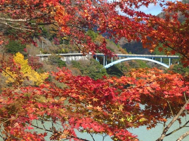 Around Lake Tanzawa