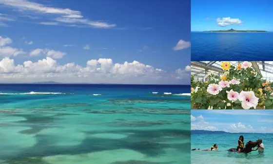 Ie Island Tourism Association
