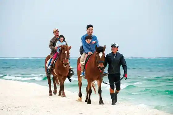 Horseback Riding on Ie Island Beach
