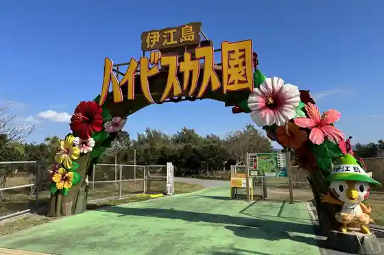 Ie Island Hibiscus Garden