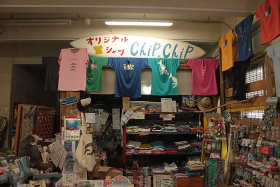 Chip Chip