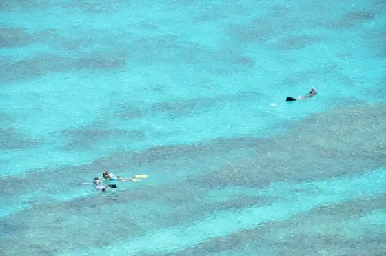 Snorkeling