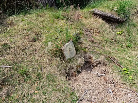 Haru Stones