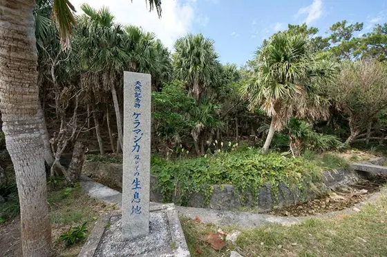 Kerama Deer Habitat Monument
