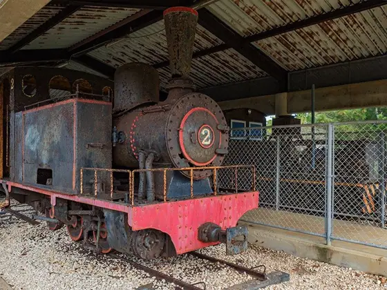 Sugar Train