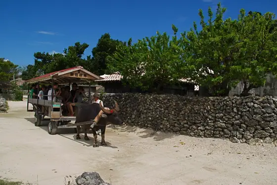 Taketomi Island