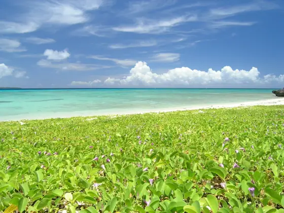Haemida Beach
