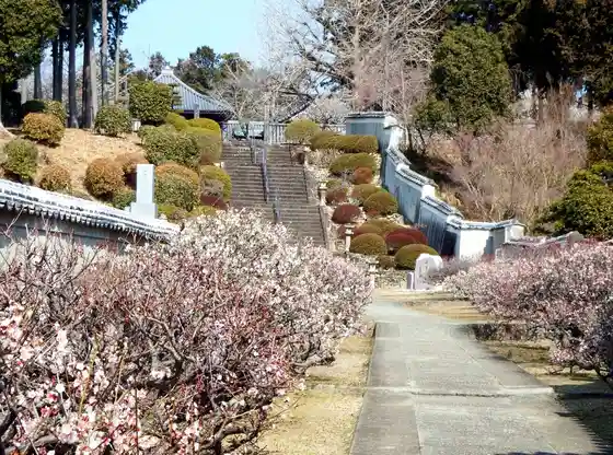 Jizo-ji, Shikoku pilgrimage temple 5, Itano Town