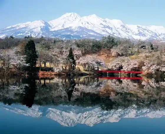 Matsugamine Shuhen no Sakura to Myoko Yama