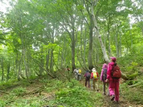 Kuwadori City Tami Forest