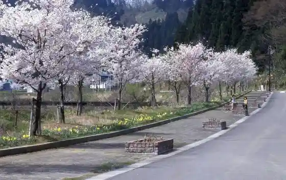 Yasuzuka Furawarodo