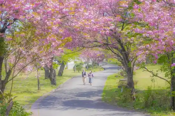 Gochi Park