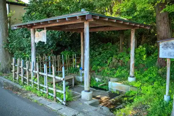 Yo Jii Shimizu (Yoyashimizu)
