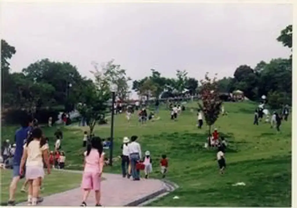 Joyo Sogo Sports Park (Ko no Suyama Sports Park)