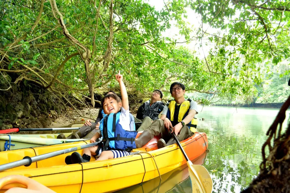 Mangrove Exploration Kayak