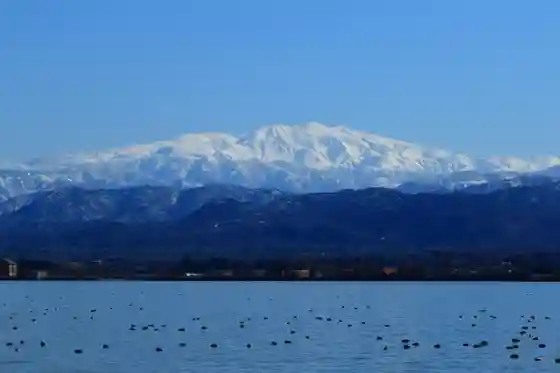Shibayama Kata