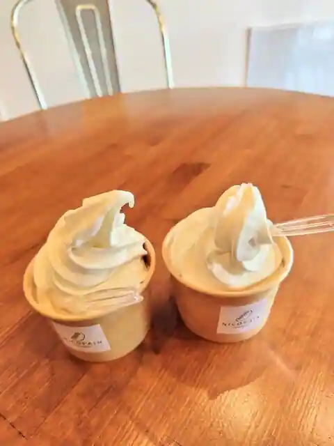 NICOPAIN