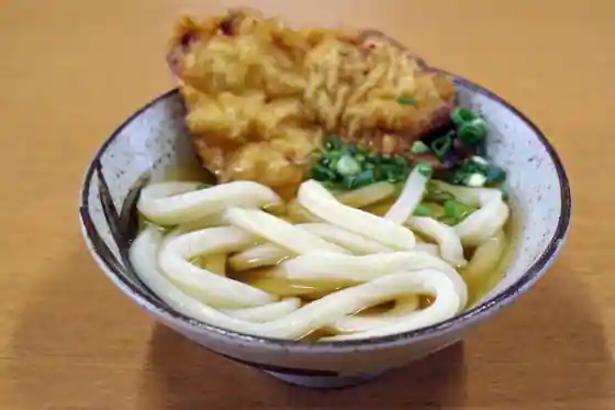 Seitan Teuchi Jogo Udon