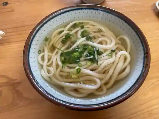 Sanshin Udon