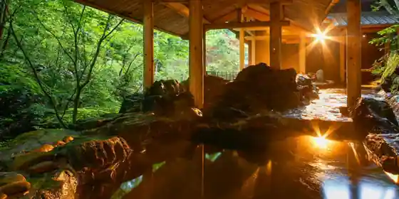 湯山荘 阿讃琴南