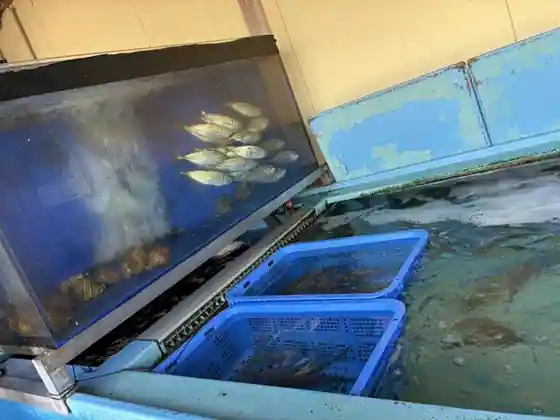 寿司処 ここも 志度店