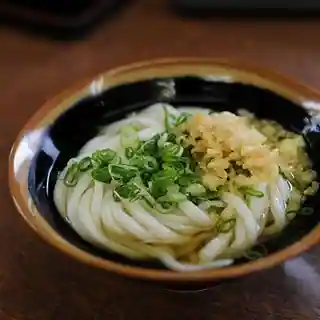 Shirakawa Udon