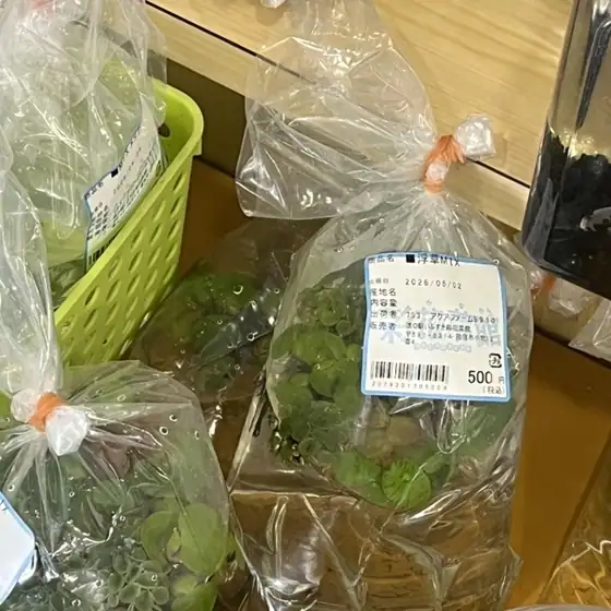 道の駅 いぶすき彩花菜館