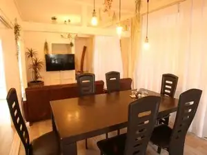 MINKAGO Ichikikushikino