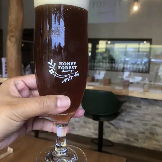 Honey Forest Brewing