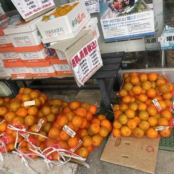 清水商店