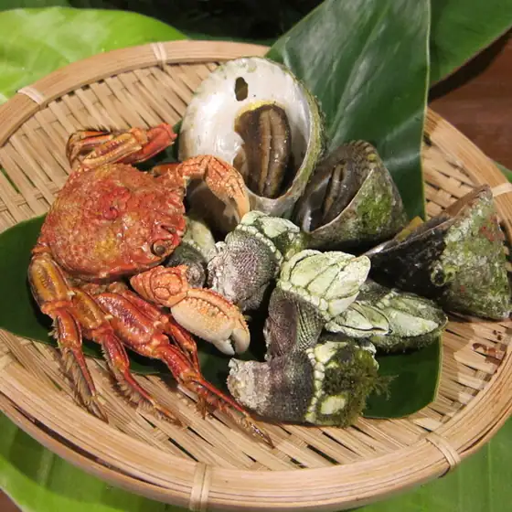 Izakaya Minshuku Sangosho