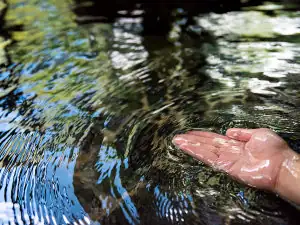 Shibi Onsen Chidoriso