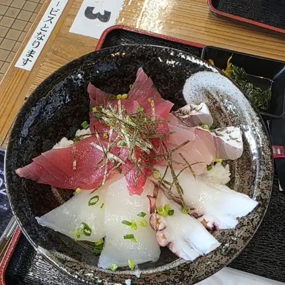 海力