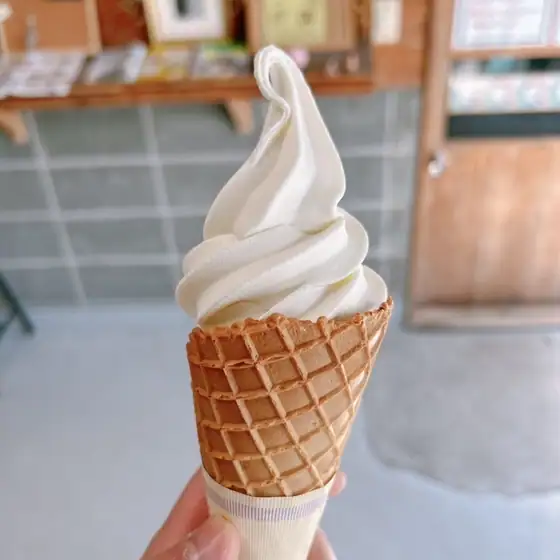 Healthy Island Cafe Amami Store