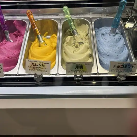 Amamin & Tropica Amami